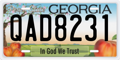 GA license plate QAD8231