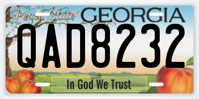 GA license plate QAD8232