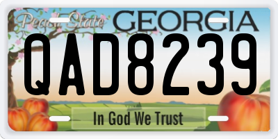 GA license plate QAD8239