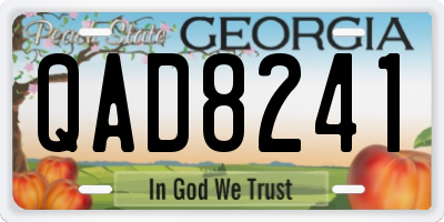 GA license plate QAD8241