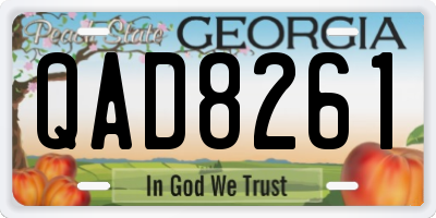 GA license plate QAD8261