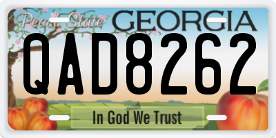 GA license plate QAD8262