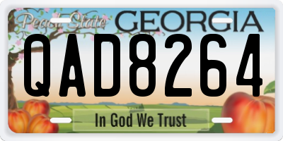GA license plate QAD8264