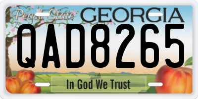 GA license plate QAD8265