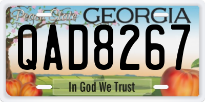 GA license plate QAD8267