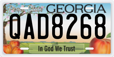 GA license plate QAD8268
