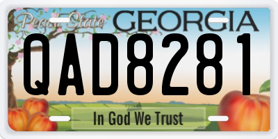 GA license plate QAD8281