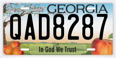 GA license plate QAD8287