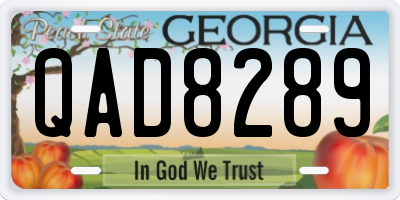 GA license plate QAD8289