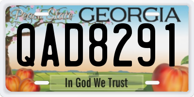 GA license plate QAD8291