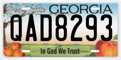 GA license plate QAD8293