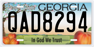 GA license plate QAD8294