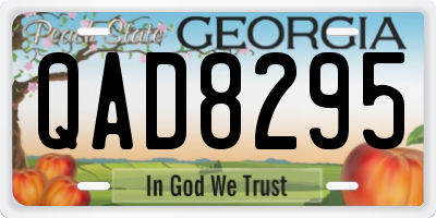 GA license plate QAD8295