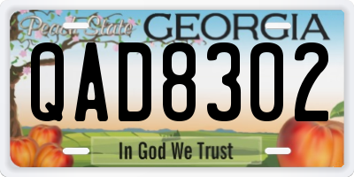 GA license plate QAD8302