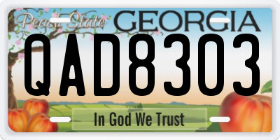 GA license plate QAD8303