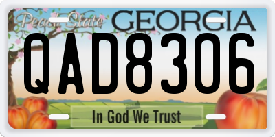 GA license plate QAD8306