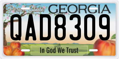 GA license plate QAD8309