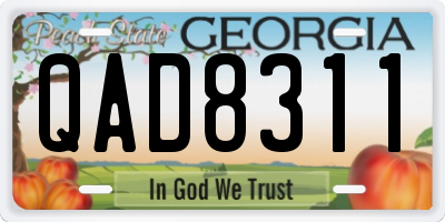 GA license plate QAD8311