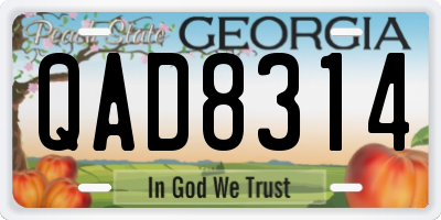 GA license plate QAD8314