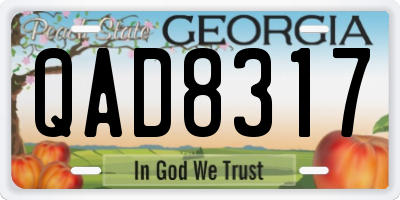 GA license plate QAD8317