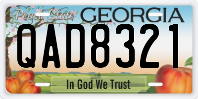 GA license plate QAD8321