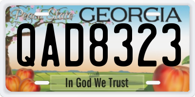 GA license plate QAD8323