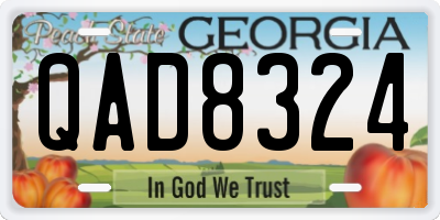 GA license plate QAD8324