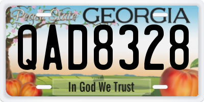 GA license plate QAD8328