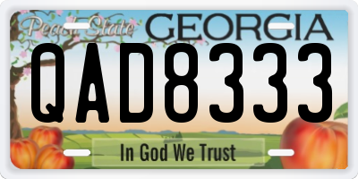 GA license plate QAD8333