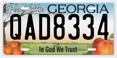 GA license plate QAD8334