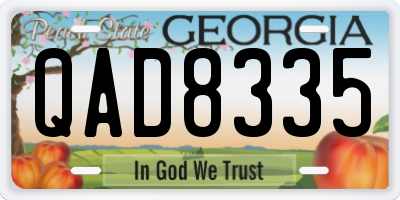 GA license plate QAD8335