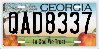 GA license plate QAD8337