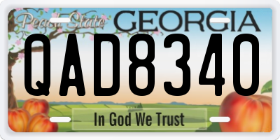 GA license plate QAD8340