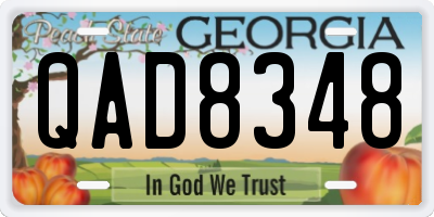 GA license plate QAD8348
