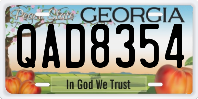GA license plate QAD8354