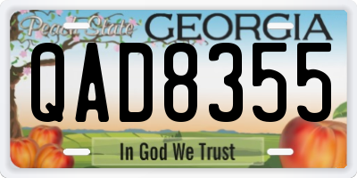 GA license plate QAD8355