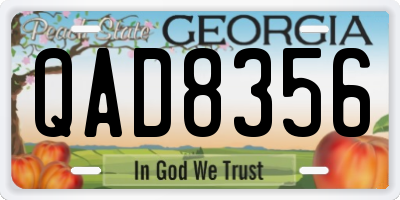 GA license plate QAD8356