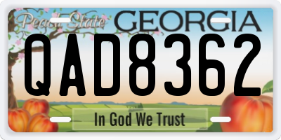 GA license plate QAD8362