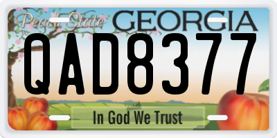 GA license plate QAD8377