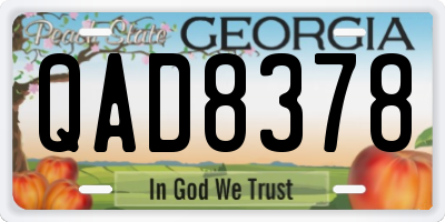 GA license plate QAD8378