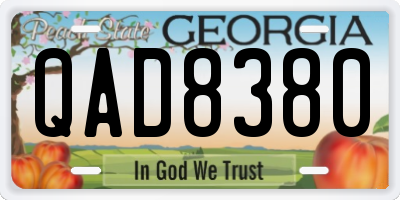 GA license plate QAD8380