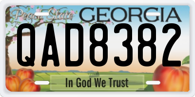 GA license plate QAD8382