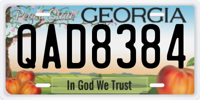 GA license plate QAD8384