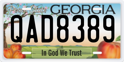 GA license plate QAD8389