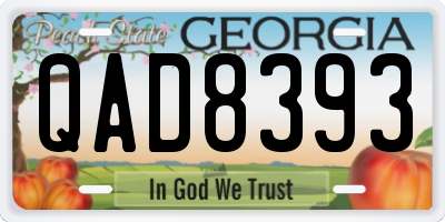 GA license plate QAD8393