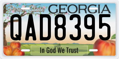 GA license plate QAD8395