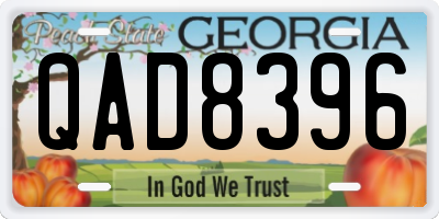 GA license plate QAD8396
