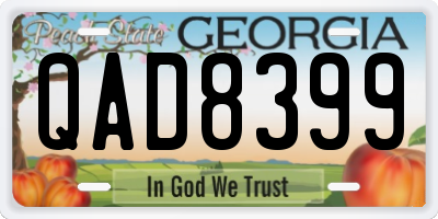GA license plate QAD8399