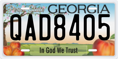 GA license plate QAD8405