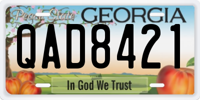 GA license plate QAD8421
